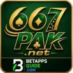 667pak feature 190x190 1