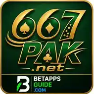 667pak-game